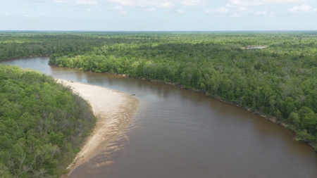385 Acres Pearl River Frontage Louisiana - image 1