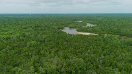385 Acres Pearl River Frontage Louisiana - image 21