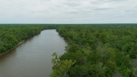 385 Acres Pearl River Frontage Louisiana - image 19