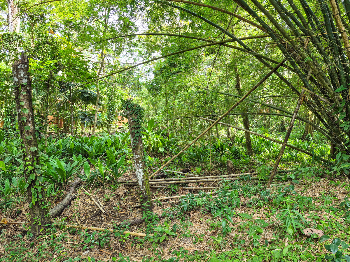 Rare Front-Row Bluff Beach Lot, ~1,586 m² — Isla Colón - 8