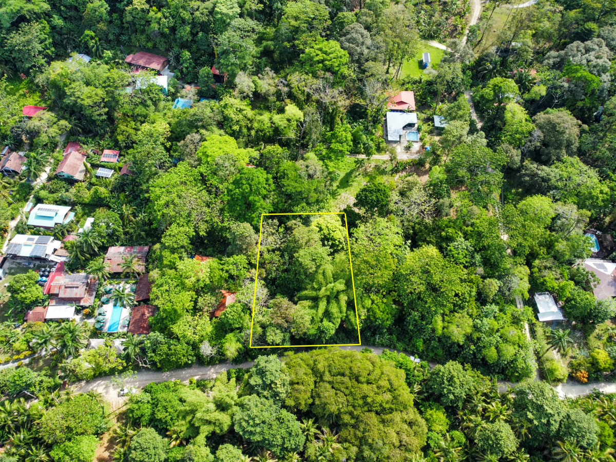 Rare Front-Row Bluff Beach Lot, ~1,586 m² — Isla Colón - 6