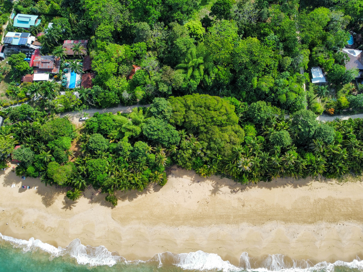 Rare Front-Row Bluff Beach Lot, ~1,586 m² — Isla Colón - 7