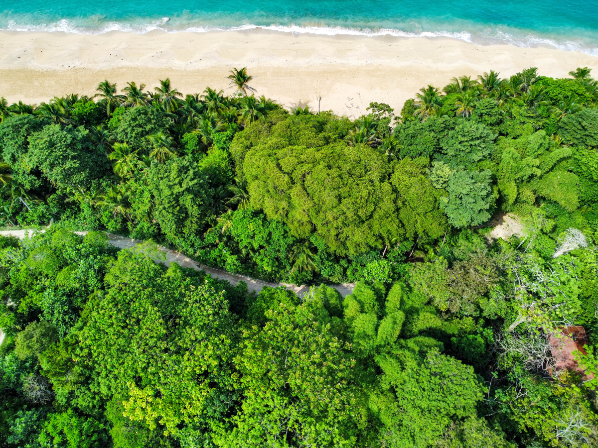 Rare Front-Row Bluff Beach Lot, ~1,586 m² — Isla Colón - 5