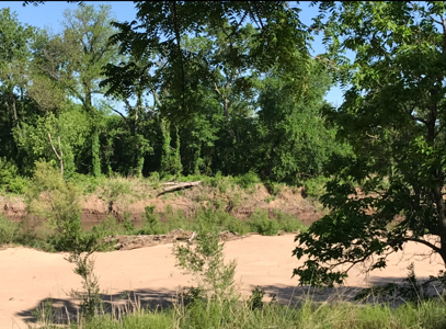 Unique River Front Property on 1.6 acres KS Online Only Auction - image 12