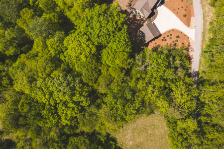 Sunset Bay On Norris Lake-Union County- East TN Wooded Lot - image 5