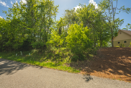 Sunset Bay On Norris Lake-Union County- East TN Wooded Lot - image 8
