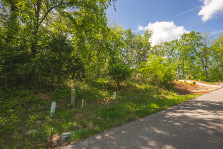 Sunset Bay On Norris Lake-Union County- East TN Wooded Lot - image 7