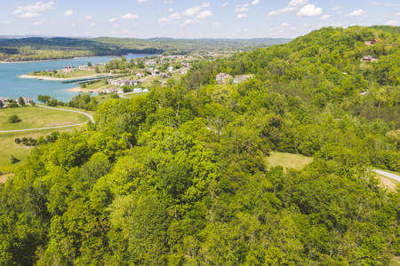 Sunset Bay On Norris Lake-Union County- East TN Wooded Lot - image 3