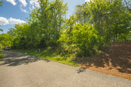 Sunset Bay On Norris Lake-Union County- East TN Wooded Lot - image 9
