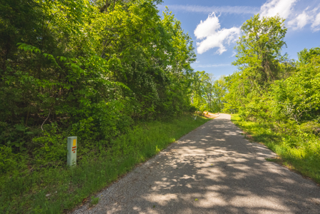 Sunset Bay On Norris Lake-Union County- East TN Wooded Lot - image 6