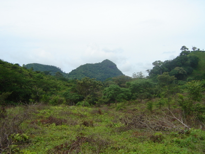 High Point | 220-Acre Mountain & River Development Opportunity - image 9