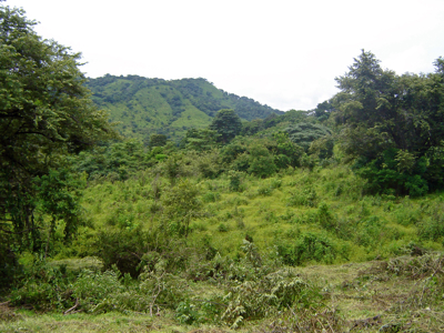High Point | 220-Acre Mountain & River Development Opportunity - image 21