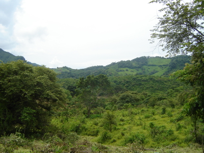 High Point | 220-Acre Mountain & River Development Opportunity - image 22