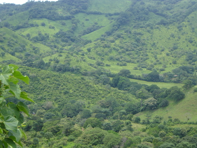 High Point | 220-Acre Mountain & River Development Opportunity - image 31