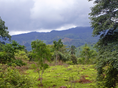 High Point | 220-Acre Mountain & River Development Opportunity - image 36