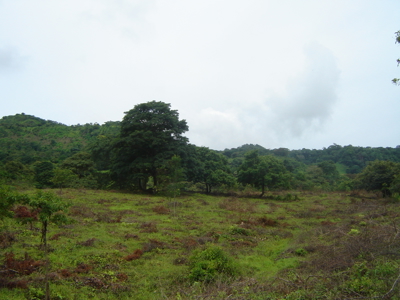 High Point | 220-Acre Mountain & River Development Opportunity - image 10