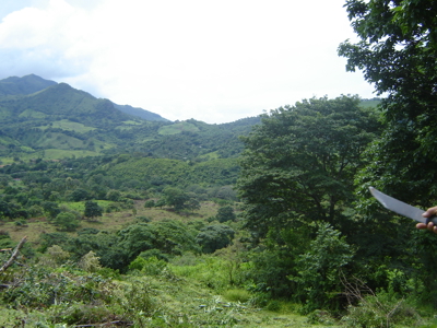 High Point | 220-Acre Mountain & River Development Opportunity - image 29