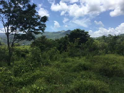 High Point | 220-Acre Mountain & River Development Opportunity - image 34