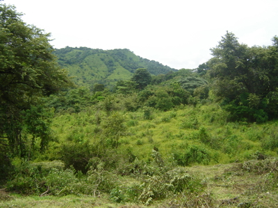 High Point | 220-Acre Mountain & River Development Opportunity - image 20