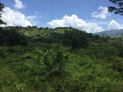High Point | 220-Acre Mountain & River Development Opportunity - image 35