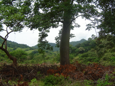 High Point | 220-Acre Mountain & River Development Opportunity - image 12