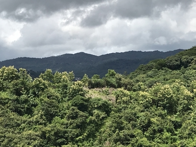 High Point | 220-Acre Mountain & River Development Opportunity - image 42