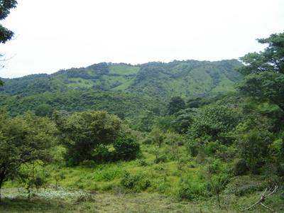 High Point | 220-Acre Mountain & River Development Opportunity - image 23