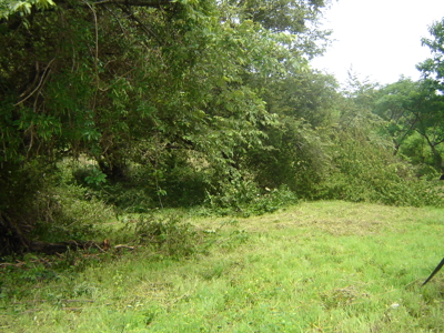 High Point | 220-Acre Mountain & River Development Opportunity - image 18