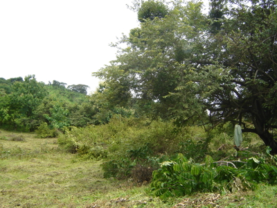 High Point | 220-Acre Mountain & River Development Opportunity - image 17