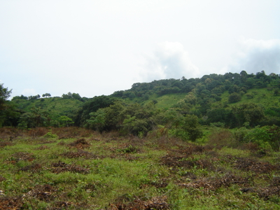 High Point | 220-Acre Mountain & River Development Opportunity - image 13