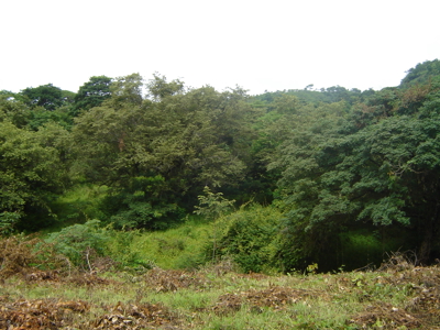 High Point | 220-Acre Mountain & River Development Opportunity - image 15