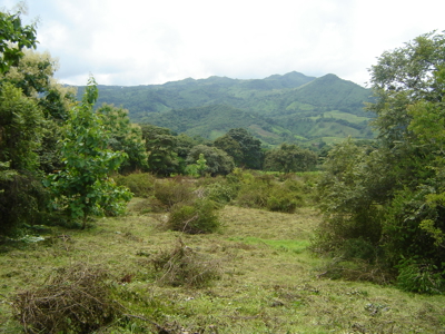 High Point | 220-Acre Mountain & River Development Opportunity - image 19
