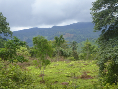 High Point | 220-Acre Mountain & River Development Opportunity - image 33