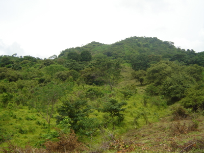 High Point | 220-Acre Mountain & River Development Opportunity - image 16