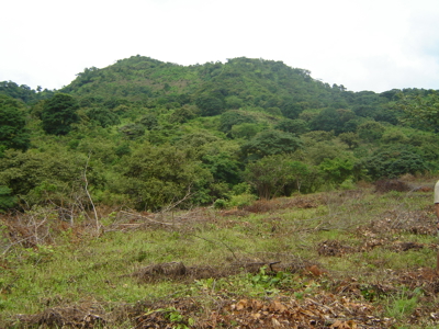 High Point | 220-Acre Mountain & River Development Opportunity - image 14