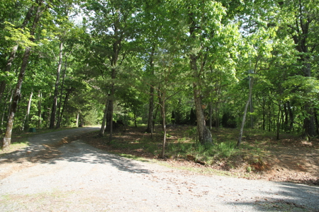 Mountain Home on 5 Acres Near Trout Streams - image 4