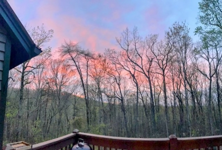 Mountain Home on 5 Acres Near Trout Streams - image 39