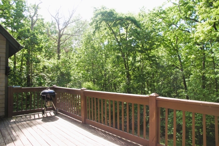 Mountain Home on 5 Acres Near Trout Streams - image 6