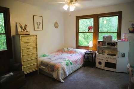 Mountain Home on 5 Acres Near Trout Streams - image 19