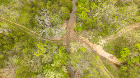 29 Acres of Prime Hunting Land in the Missouri Ozarks | Hartville - image 5