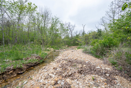 29 Acres of Prime Hunting Land in the Missouri Ozarks | Hartville - image 13