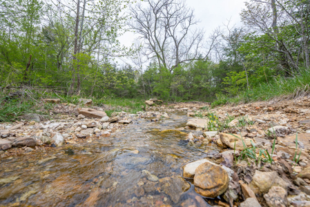 29 Acres of Prime Hunting Land in the Missouri Ozarks | Hartville - image 16