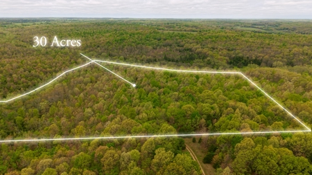 29 Acres of Prime Hunting Land in the Missouri Ozarks | Hartville - image 3