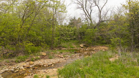 29 Acres of Prime Hunting Land in the Missouri Ozarks | Hartville - image 4