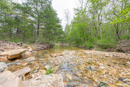29 Acres of Prime Hunting Land in the Missouri Ozarks | Hartville - image 18