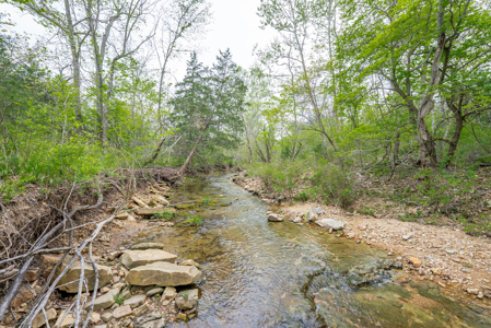 29 Acres of Prime Hunting Land in the Missouri Ozarks | Hartville - image 19