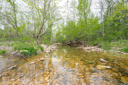 29 Acres of Prime Hunting Land in the Missouri Ozarks | Hartville - image 17