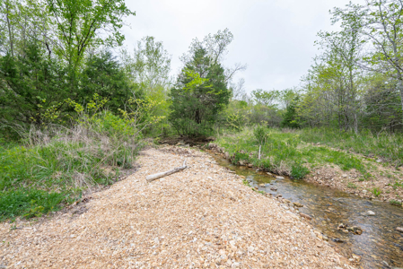 29 Acres of Prime Hunting Land in the Missouri Ozarks | Hartville - image 14
