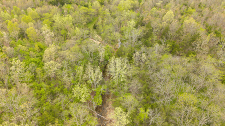 29 Acres of Prime Hunting Land in the Missouri Ozarks | Hartville - image 7