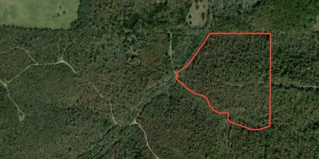 29 Acres of Prime Hunting Land in the Missouri Ozarks | Hartville - image 2